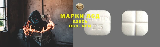 кокс Баксан