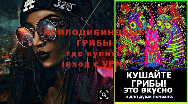 Альфа ПВП Осинники