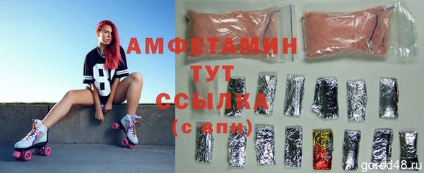 индика Балахна